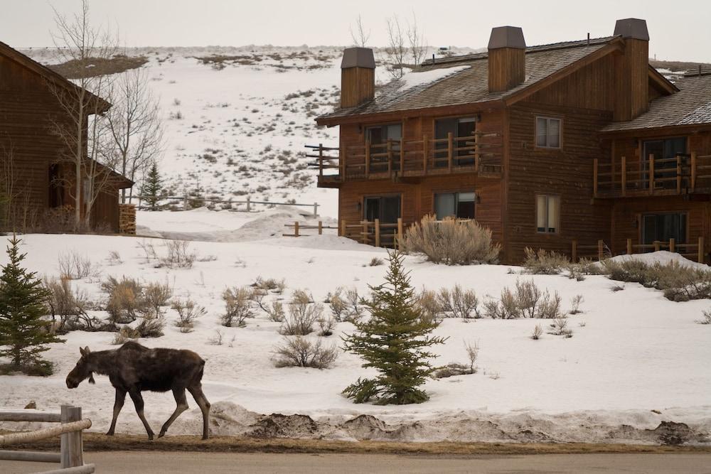 Spring Creek Ranch Ξενοδοχείο Τζάκσον Εξωτερικό φωτογραφία